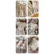 NyaNya Anniversay Print Blouse JSK and OPs(Reservation/2 Colours/Full Payment Without Shipping)